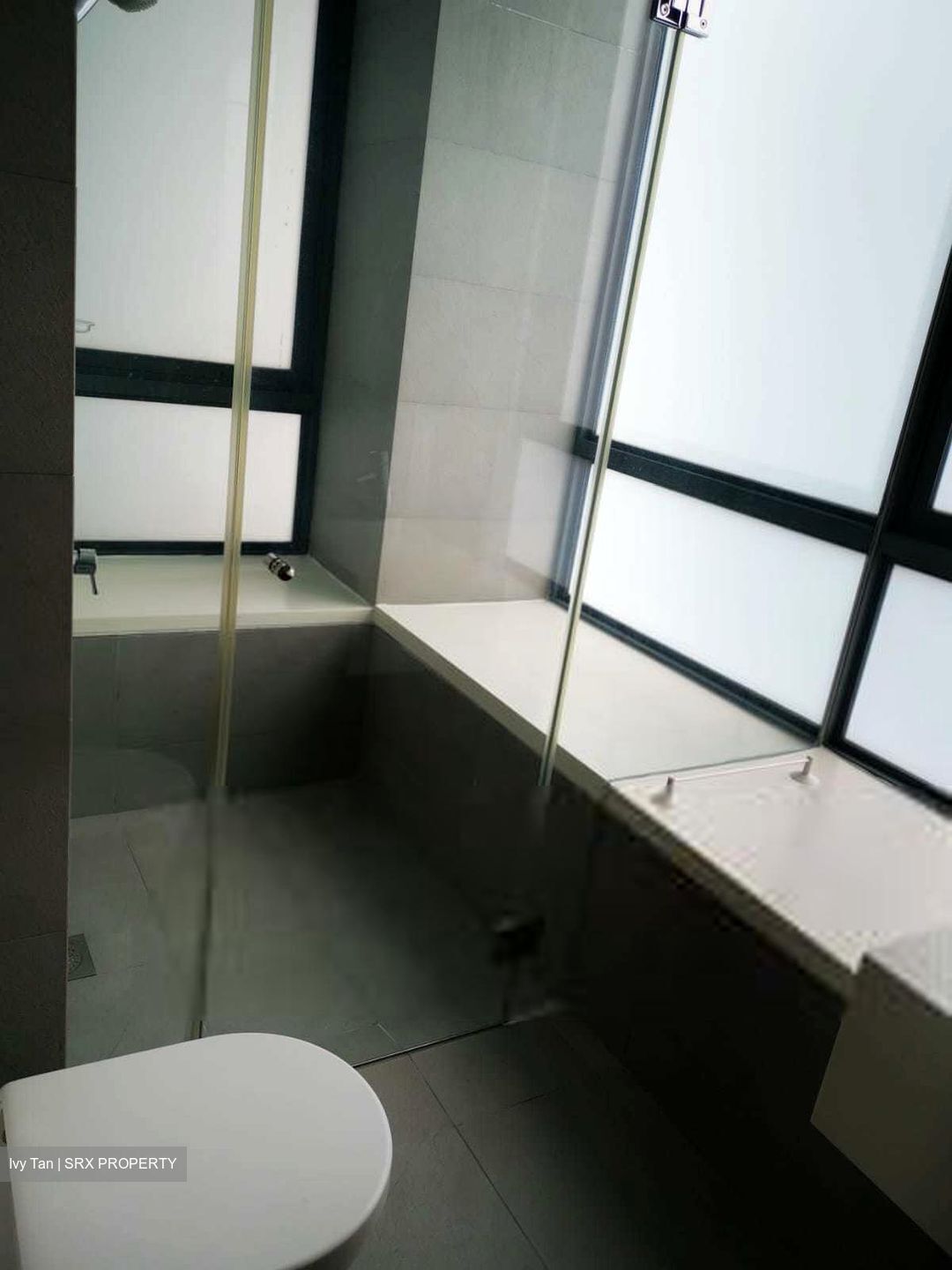 The Suites At Central (D9), Condominium #370595301